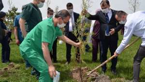Hemşireler gününü ağaç dikerek kutladılar