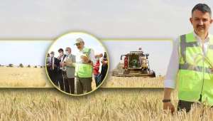 Hububat Alım Fiyatı Üreticileri Sevindirdi