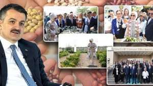 Kaybolmaya Yüz Tutmuş Yerel Tohumlar Devlet Korumasında