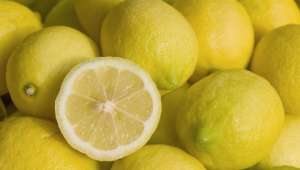 Tarım Bakanlığı'ndan limon ihracatına izin