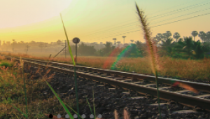 TCDD Otla mücadele kapsamında ilaçlama yapılacak