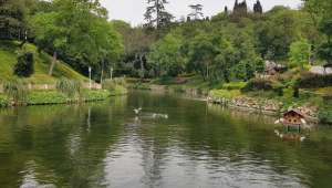 TEMA Temsilcisi Önder Çelik : Doğa gözlemlerinize Doğa Kaşifi aracılığı ile başlayın