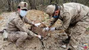 Yaralı dağ keçisine ilk müdahale JÖH Timinden