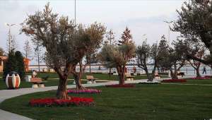 Yerel Yönetimler İçin