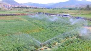 Zaferin Başkenti Afyonkarahisar'da Sulama Sezonu devam ediyor