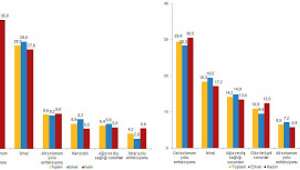 0-14 yaş grubu çocuklarda en fazla görülen hastalık Üst solunum yolu enfeksiyonu