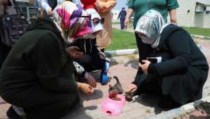 AK Kadınlardan barınakta yaşayan sokak hayvanları için mama desteği