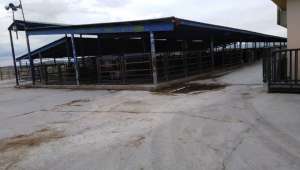 Çayırbağ’da hayvan pazarı yeniden açılıyor