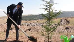 AFSÜ Millî Ağaçlandırma Gününde Fidan Dikti