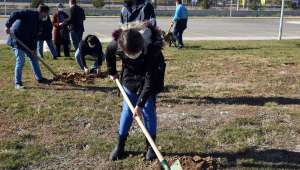 AKÜ’de 550 Fidan Toprakla Buluştu