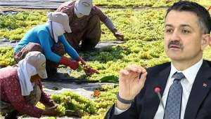 Bakan Pakdemirli’den 826 Kadrolu İşçi Alım Müjdesi