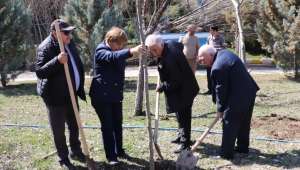 Gecek Termal A.Ş.’De 232 Ağaç Dikildi