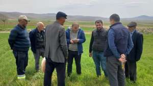 Afyonkarahisar'da çiftçiler hububat hastalıklarına karşı bilgilendirildi