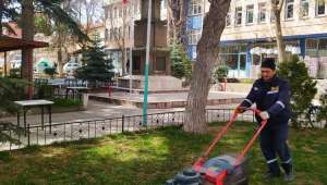 Ağaç Budama Çim Biçme Çalışmaları Başladı