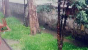 Afyonkarahisarda sağanak yağış hayatı olumsuz etkiledi