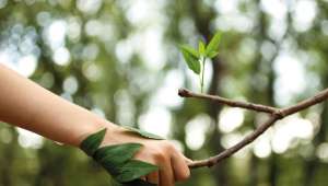 Dijital Arşiv Projesi İle Basılı Evrak Kullanımı Yüzde 90 Azaltılacak