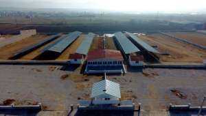 Sandıklı Belediyesi, Yeni Hayvan Pazarı'nı açtı