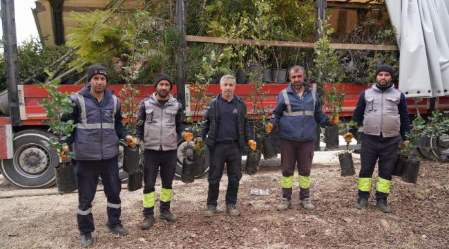 Adıyaman'a Yeşil Destek: 8 Bin Fidan ve Bitki Gönderildi