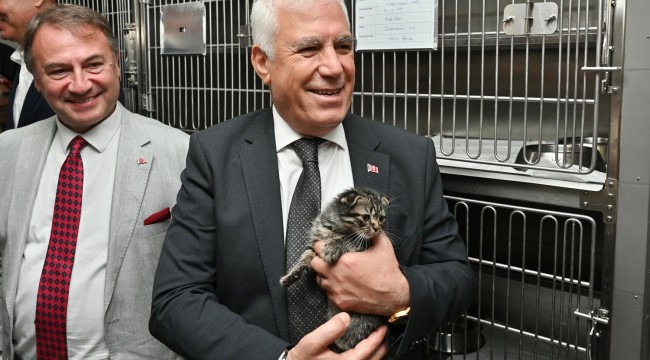 Bursa Büyükşehir Belediyesi'nden Sokak Hayvanlarına Şefkatli Destek