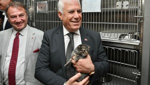 Bursa Büyükşehir Belediyesi'nden Sokak Hayvanlarına Şefkatli Destek