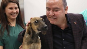 Büyükşehir, Can Dostları Yaz Kış Yalnız Bırakmıyor