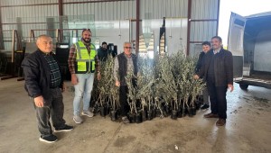 Büyükşehir’den Alanyalı Üreticilere Fidan Desteği