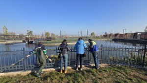 Gökdere Millet Bahçesi'ne Bilimsel İyileştirme Çalışması