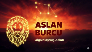 ASLAN BURCU –Olgunlaşmış Aslan