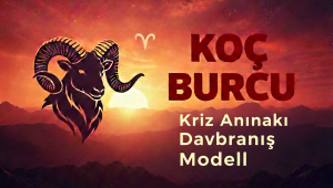 KOÇ BURCU –Kriz Anındaki Davranış Modeli