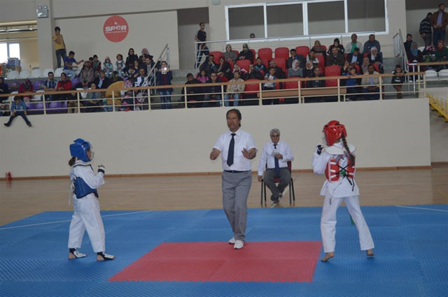 23 Nisan taekwondo karşılaşmaları tamamlandı