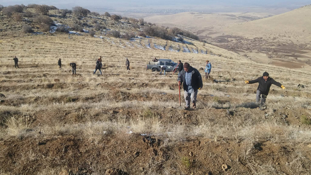 74 bin 280 dekar alana badem fidanı dikilecek