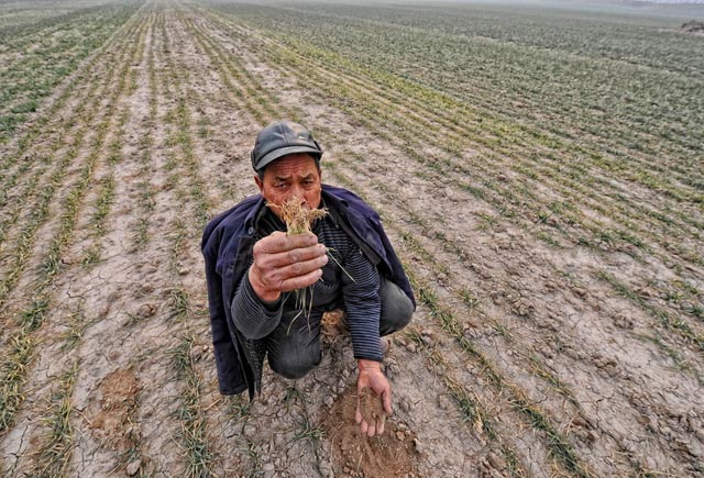 Afyon’un bitkisel üretim değeri arttı