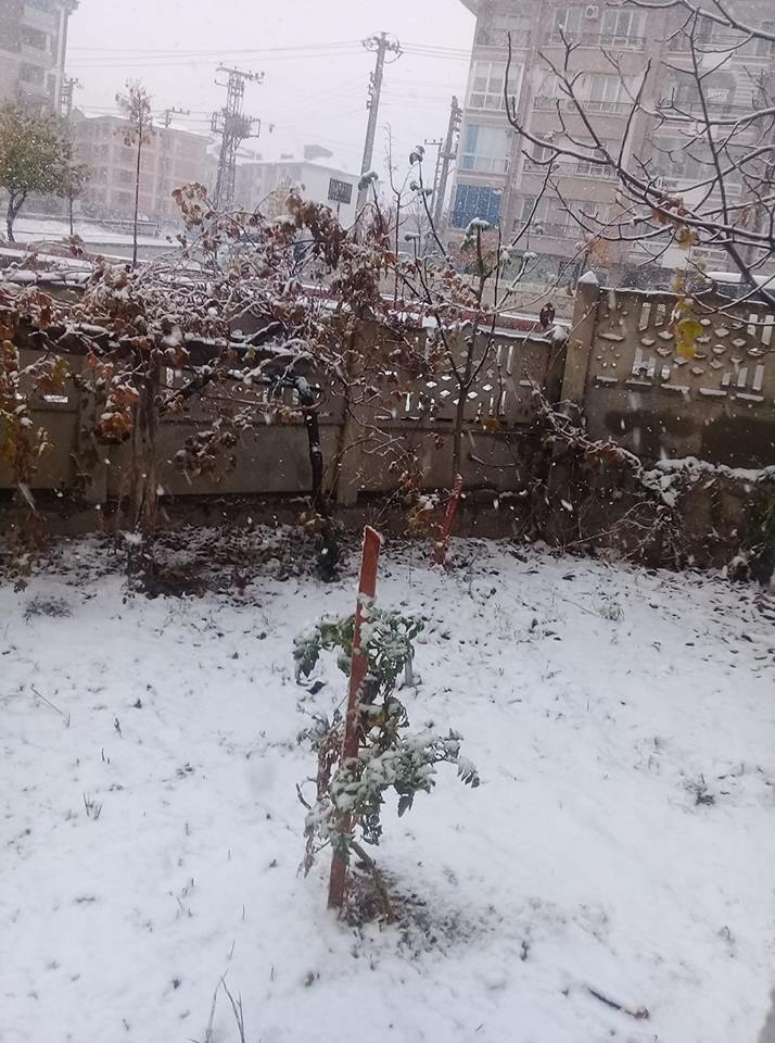 Afyonkarahisar'a mevsimin ilk karı yağdı