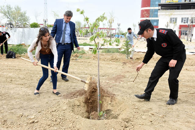AKÜ’den dereceyle mezun olan öğrencilerin isimleri fidanlarda yaşayacak