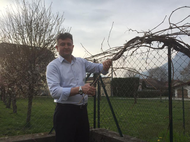 Bağ budama zamanı