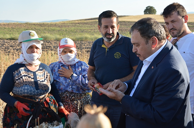 BAKAN EROĞLU, DÖĞER’DE HAŞHAŞ KIRDI