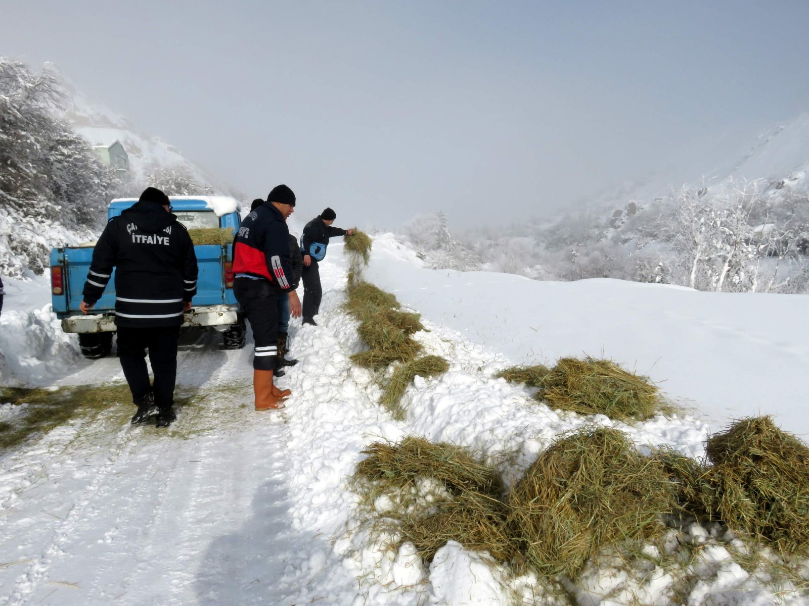Çay Belediyesi Yaban Hayvanlarını Unutmadı