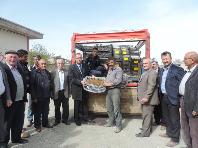 Çay, vişne ve kirazın yanında çilek de üretecek