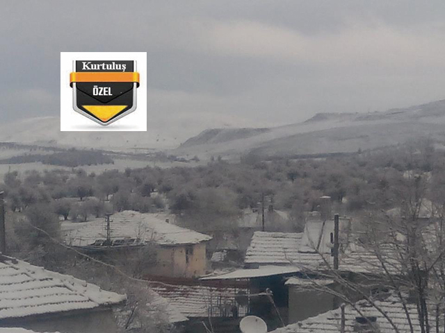 Çiçekli ağaçlara kar yağdı