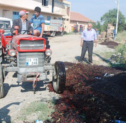 Çoğu Zaman Kirazlarını Yola Döküp Eziyorlar
