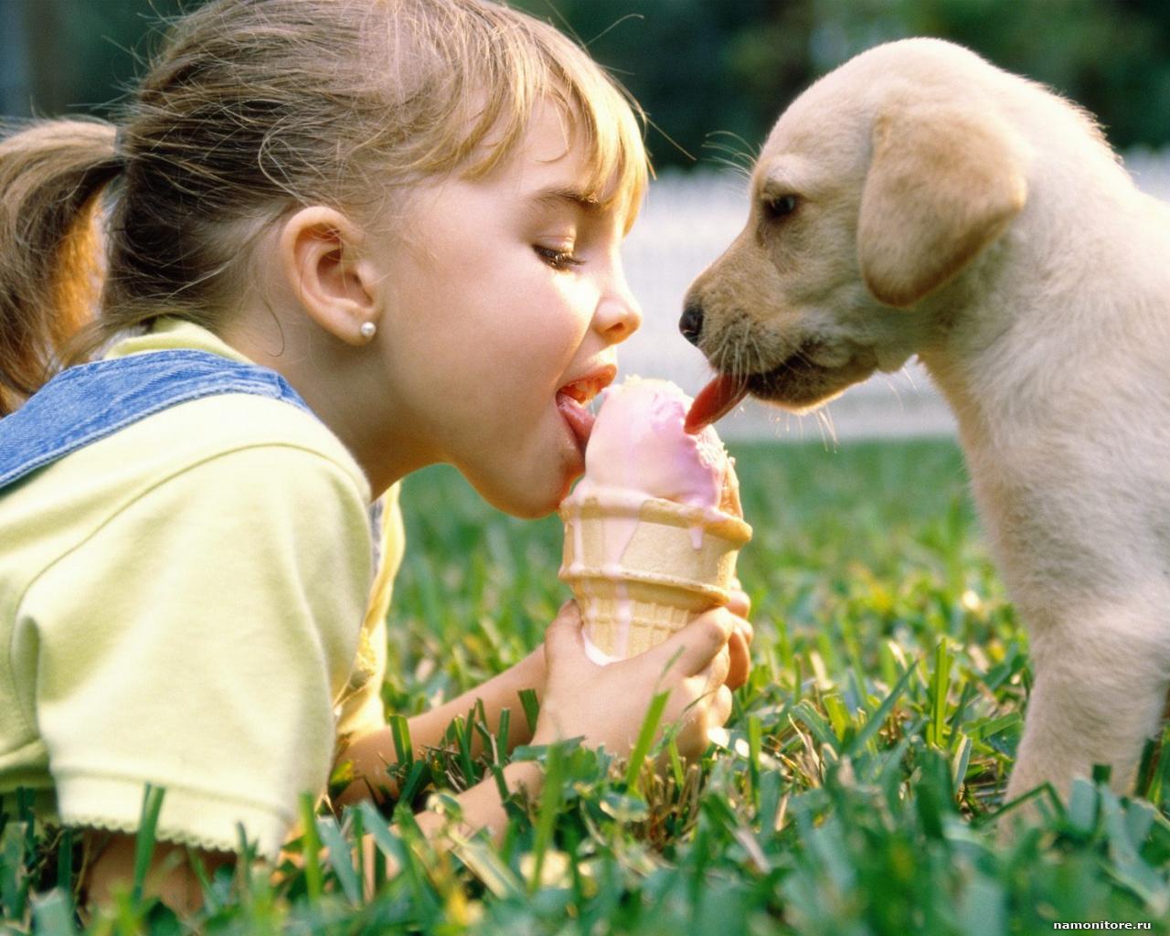 Daha sağlıklı bir hayat için bir canlıyı dost edinin!
