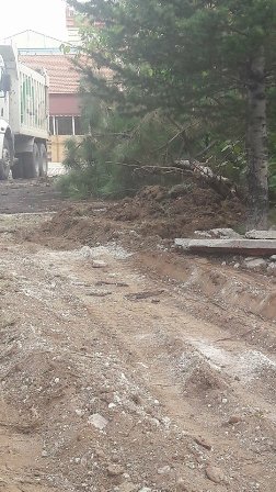 Demirkırkan: Afyonkarahisar Belediyesi ağaçları korusun