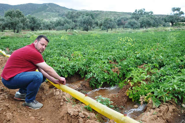 Devlet patatese de destek versin
