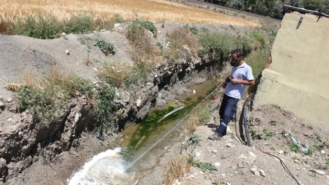 Dinar’da haşereyle mücadele sürüyor