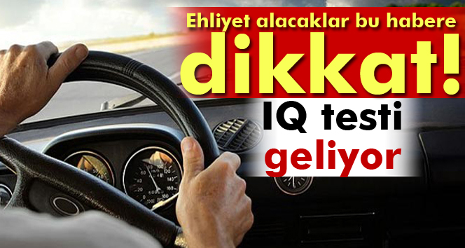 Ehliyete IQ testi geliyor