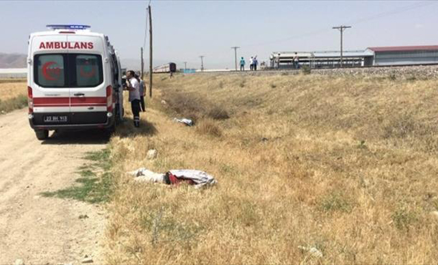 Elazığ'da tren minibüsü biçti